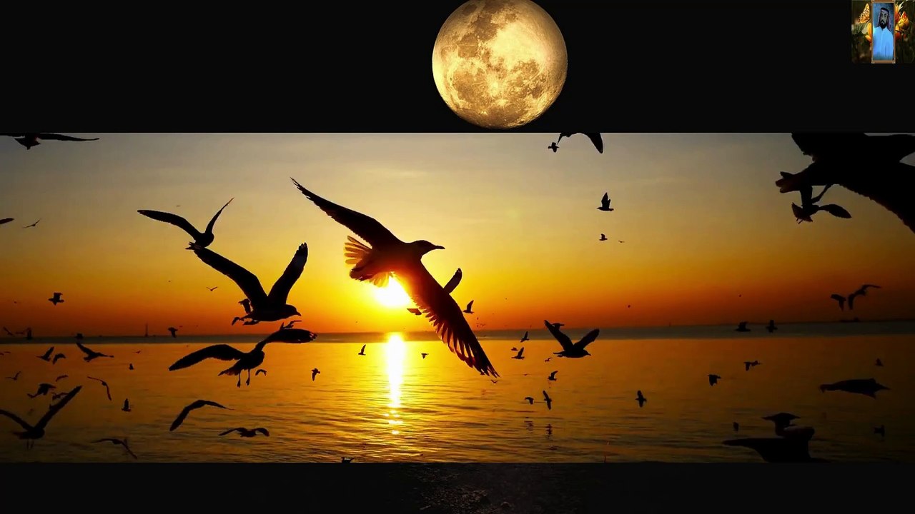 القران تلاوات خاشعة تبكي القلوب المتحجرة قناة علي الفرهود القران الكريم