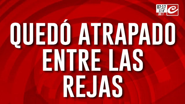 Ladrón quedó atrapado entre las rejas y debió ser rescatado por bomberos