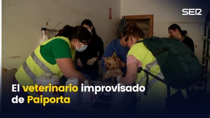 La estación veterinaria improvisada en Paiporta