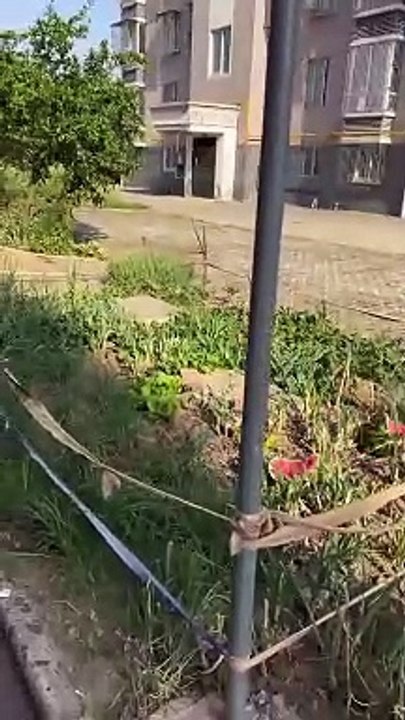 What watermelon do you eat on a hot day, Pippi Bear Funny video #rippibear #viralshorts #trollbear