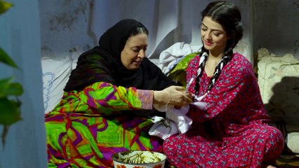 شد بلد | مرزوق عاشق ومعشوق 1 HD