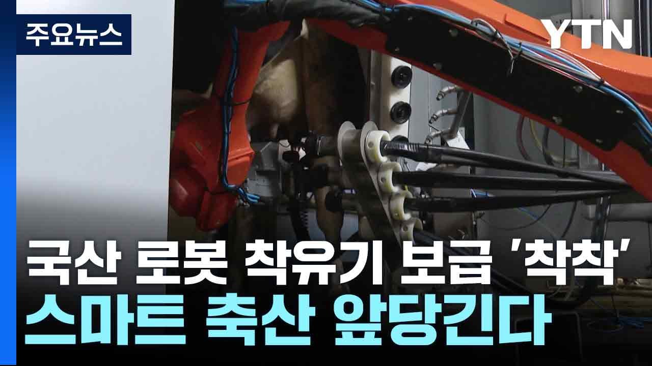 [녹색] 국산 로봇 착유기 보급 '착착'...스마트 축산 앞당긴다 / YTN