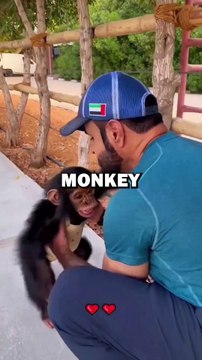 Monkey and Human Bond! #animalstories #pets #cuteanimals #cuteanimals #pets #monkey #animalrescue