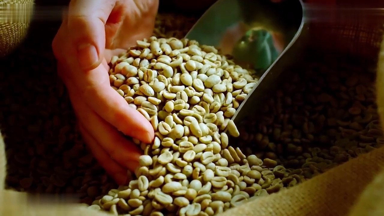 Coffee Trading in Australia- Opportunities, Challenges, and the Road Ahead | Scott Biffin
