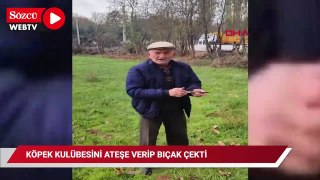 Köpek kulübelerini ateşe verip, kendisine tepki gösterene bıçak çeken şüpheli serbest