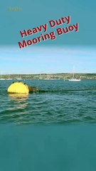 Mooring buoy