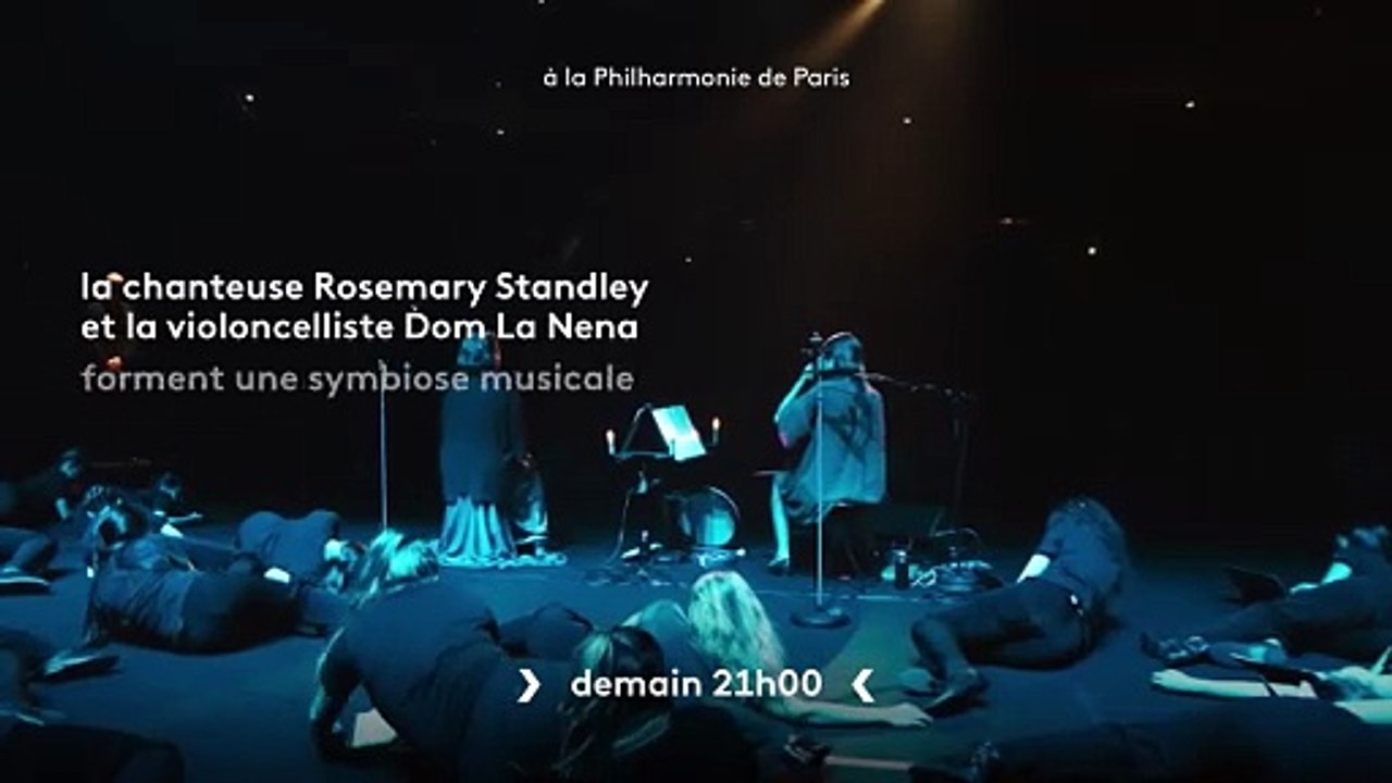 Birds on a Wire - Le Chant des oiseaux - 7 novembre
