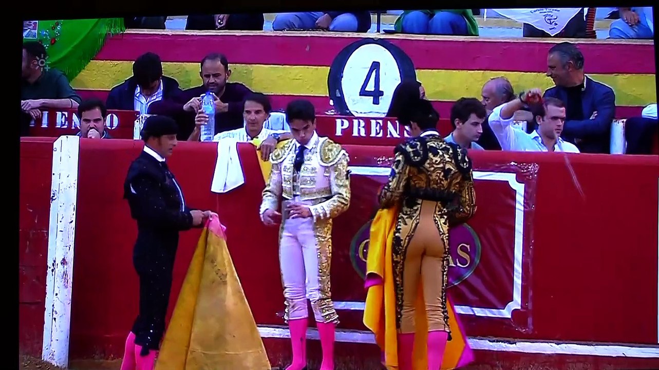 ALFONSO ALONSO NIEBLA 1º NOVILLO