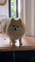 Chloe looking pissed