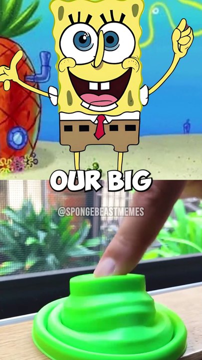 MrBeast’s Epic Treasure Hunt in Bikini Bottom 🏴‍☠️💰 #shorts #trending