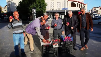 Çiftçiye bak sen! Trump kazanınca turp dağıttı