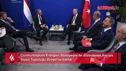 Cumhurbaşkanı Erdoğan, Hollanda Başbakanı'nı kabul etti