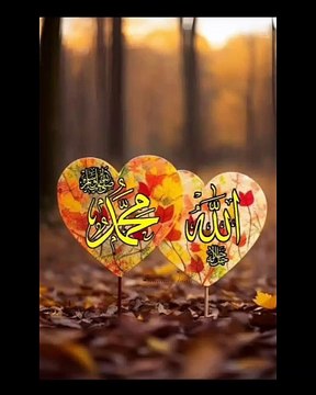 Naat status, naat Sharif, naat shorts, islamic shorts, naat , viral naat,