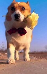 My bestie going to meet his gf