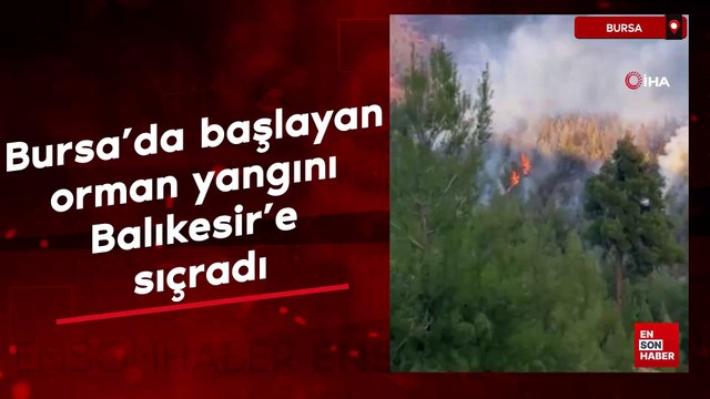 Bursa'da başlayan orman yangını Balıkesir'e sıçradı