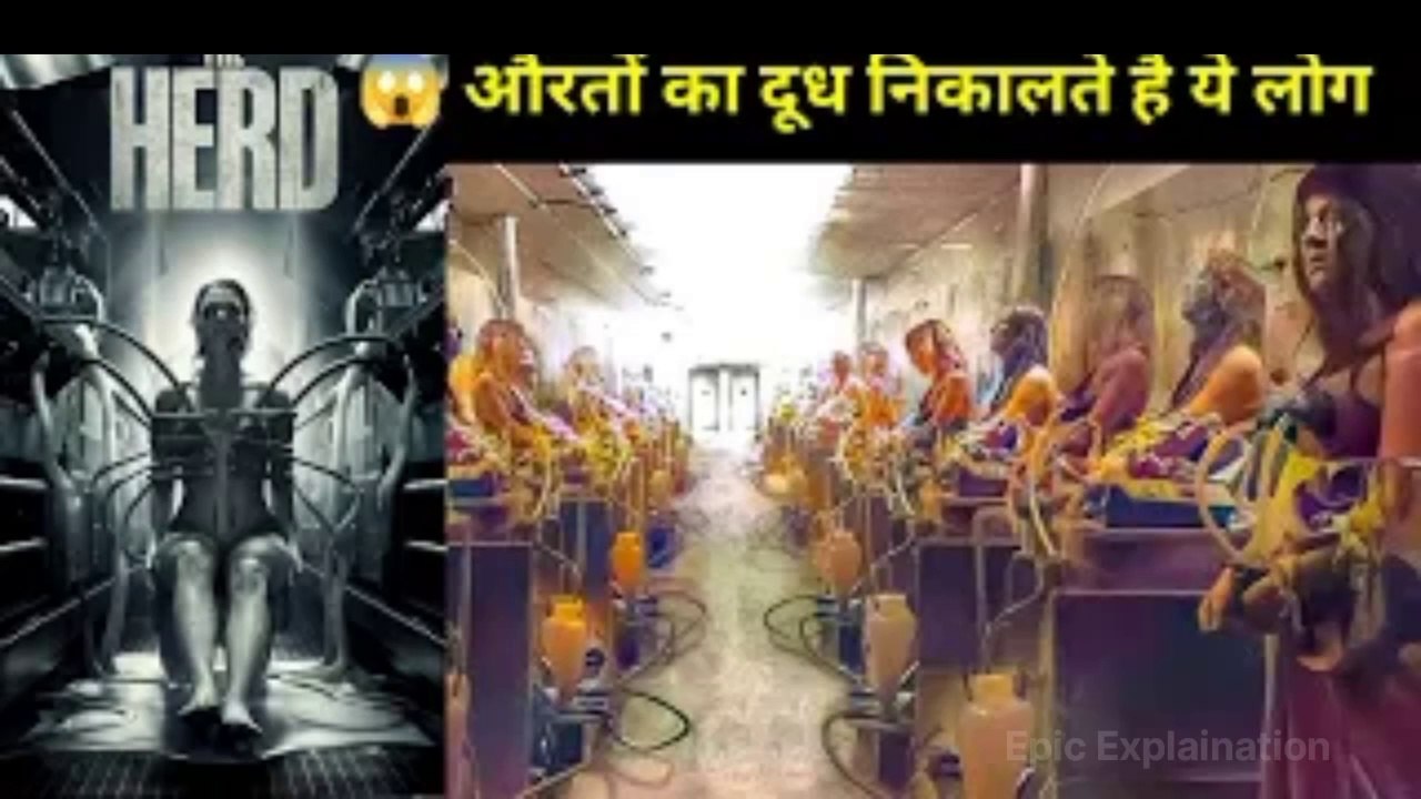 😲औरतों का दूध निकालते है ये लोग | the herd (2014) Movie explained in hindi | hollywood movie explain