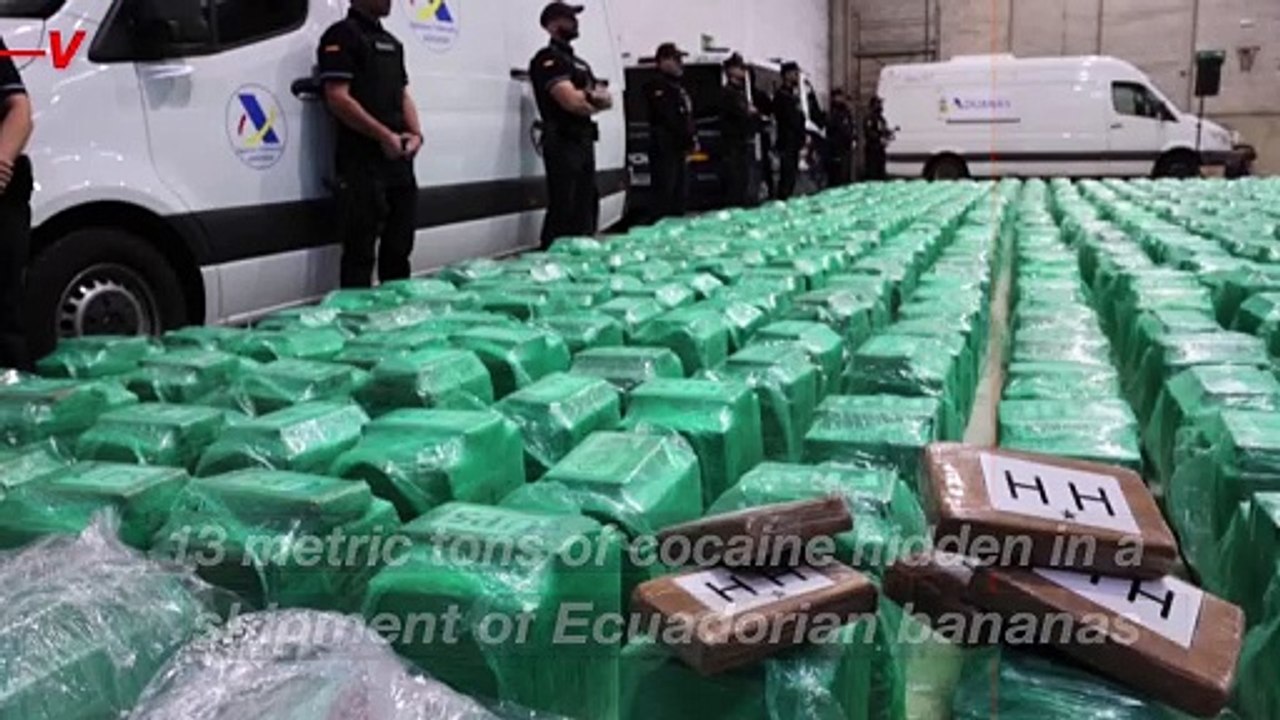 Spanish Police Seize Record 13 Tons of Cocaine Hidden in Ecuadorian Banana Shipment