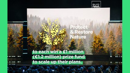 ‘Beacon of hope’: The Earthshot Prize winners 2024 revealed in star-studded Cape Town ceremony