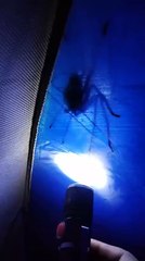 Le camping ça vous branche ?