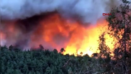 Bursa'da çıkan orman yangını Balıkesir'e sıçradı