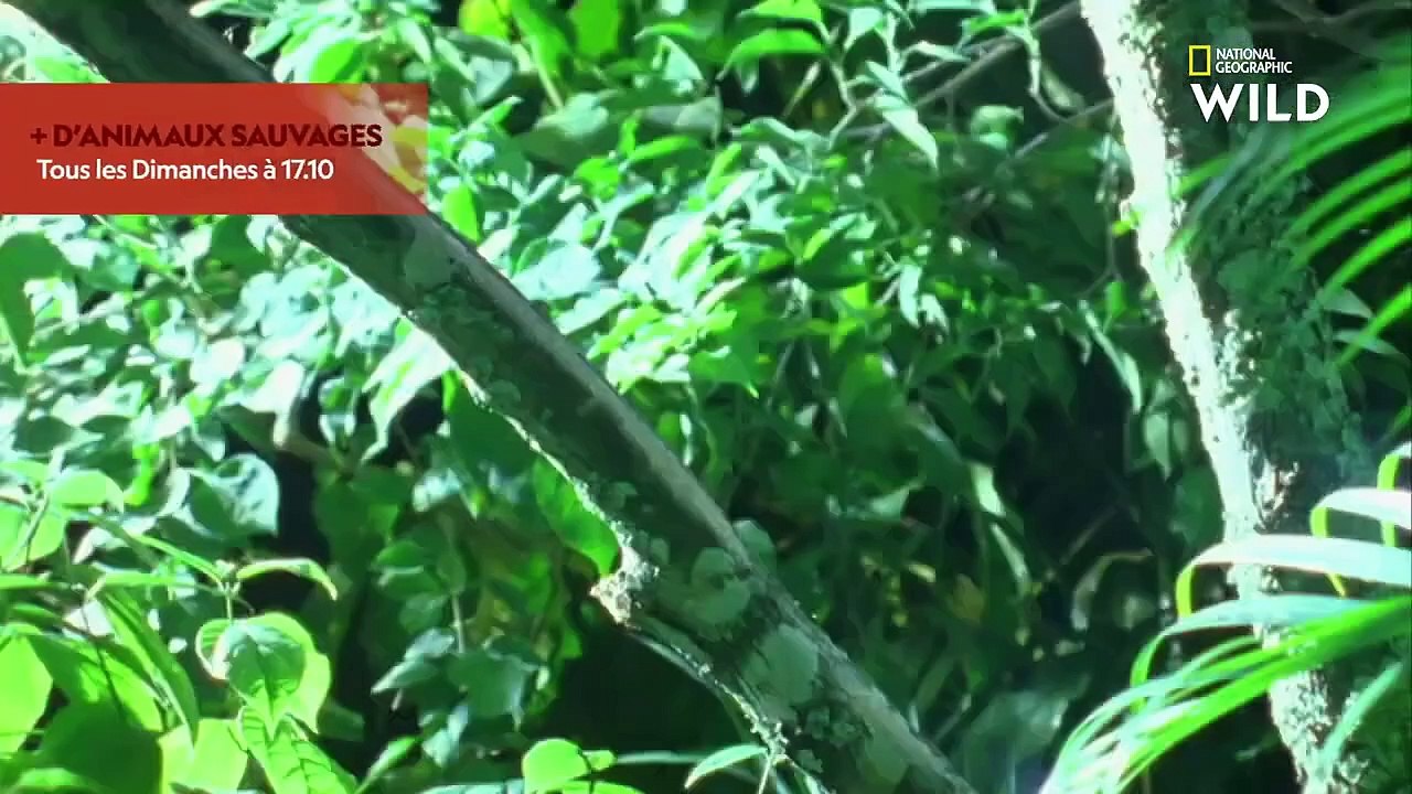 test video