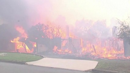 미 LA 일대 '악마의 바람'으로 대형 화재...1만 명 대피령 / YTN