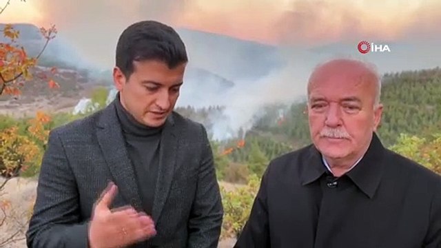 Bursa’da başlayan orman yangını Balıkesir’e sıçradı