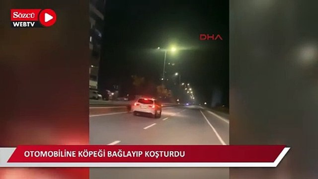 Otomobiline bağladığı köpeği koşturan sürücünün cezası belli oldu