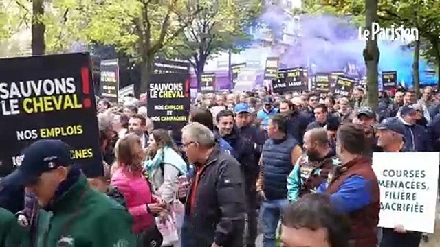 Courses annulées, PMU déserts... la filière hippique en grève contre les taxes