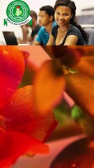 The repetition of a consonant sound in quick succession of sound effect is called..........?