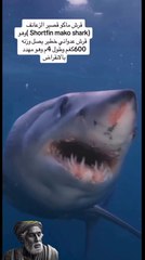 اهم المعلومات عن قرش ماكو قصير الزعنف