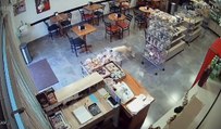 Dog steals biscuits