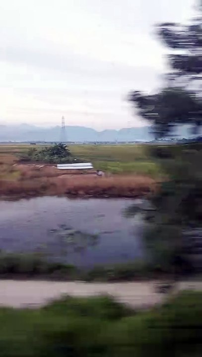 Beautiful✨ place in Assam