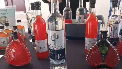 Festival de los Pueblos Mágicos