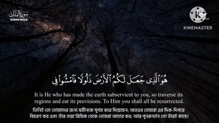 হৃদয় জুড়ানো তিলাওয়াত কি মধুর সূর hard touching Qirat best tilawat in the world