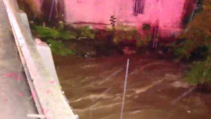 tn7-Mujer desaparecida en Parque de la Paz-071124