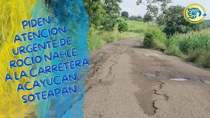 Piden atención urgente de Rocío Nahle a la carretera Acayucan-Soteapan