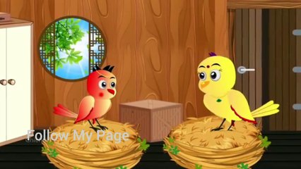 कार्टून चिड़िया | Episode New | Chidiya Wala Cartoon | Tuni Achi Cartoon | Hindi Kahani