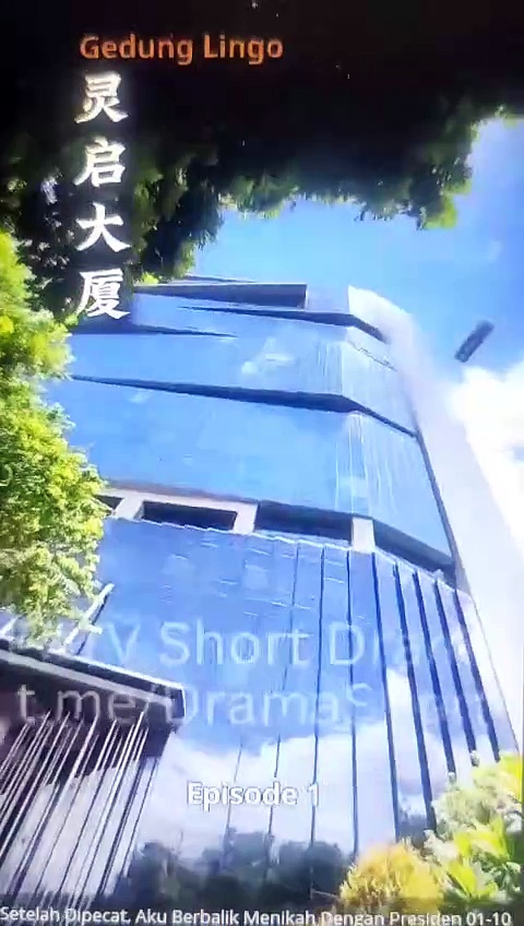  Setelah dipecat aku berbalik nikah dengan presiden episode 1 - 30