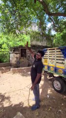 இந்த தேன் கூடு எப்பவுமே Danger!! Main Road-ல வேற இருக்கு!! ATTENTION PLEASE!! | கொரடாச்சேரி