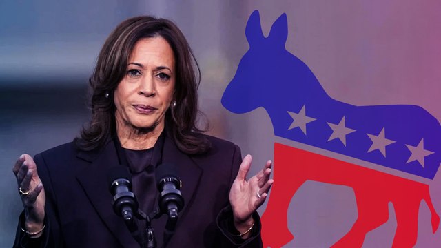 Loạt sai lầm lớn khiến bà Harris và Đảng Dân chủ đánh mất tấm vé vào Nhà Trắng 2024