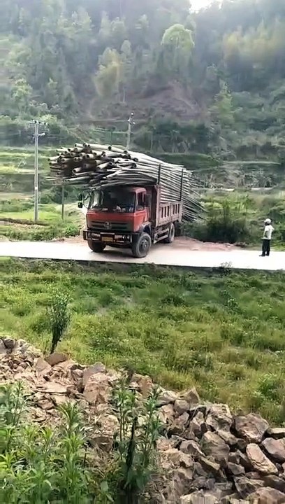 Chinese rural experienced drivers transport bamboo. How is the turning technique for truck T-junctions?