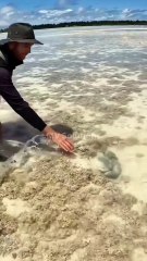 Chinese TikTok-DIY Magic: Create Something Amazing