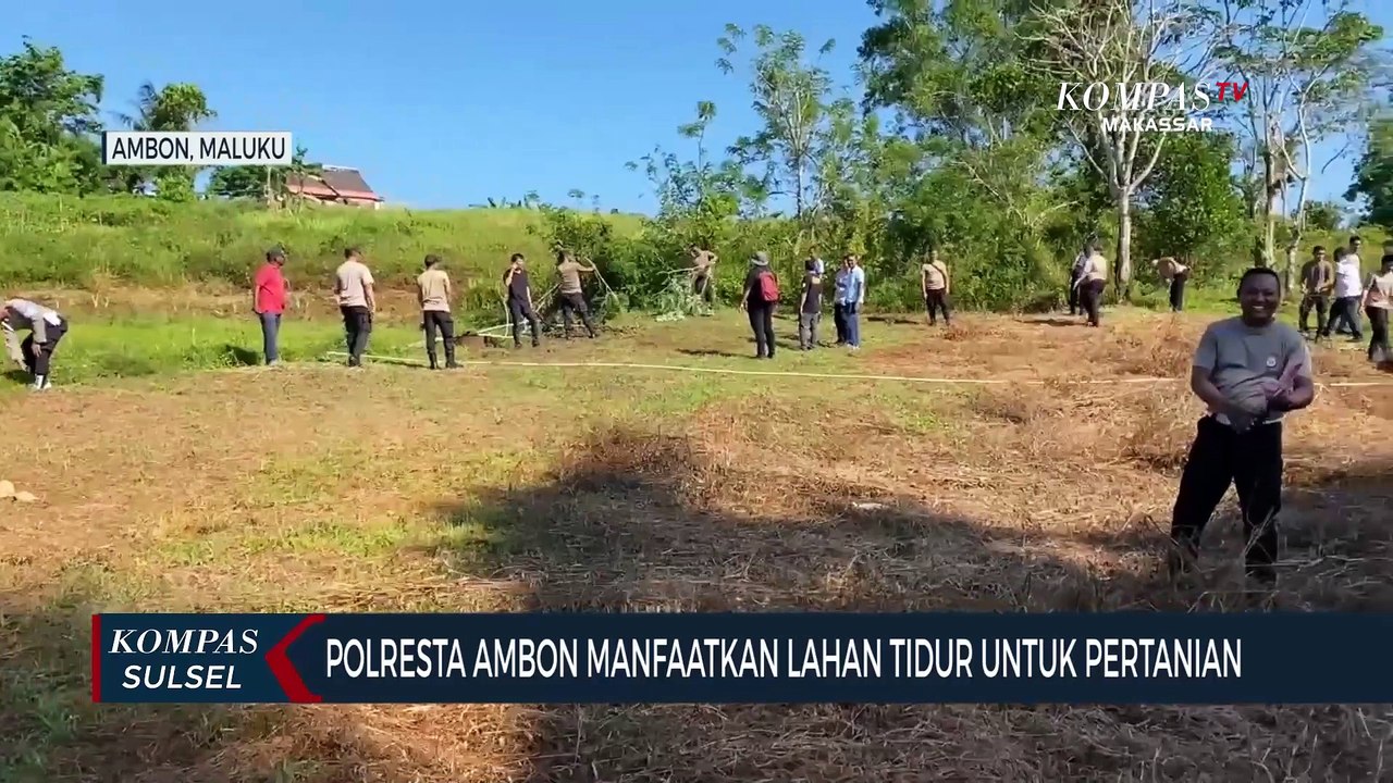 Polresta Ambon Manfaatkan Lahan Tidur untuk Pertanian