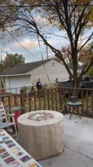 Truck Breaks Pole While Pulling Tree Branch