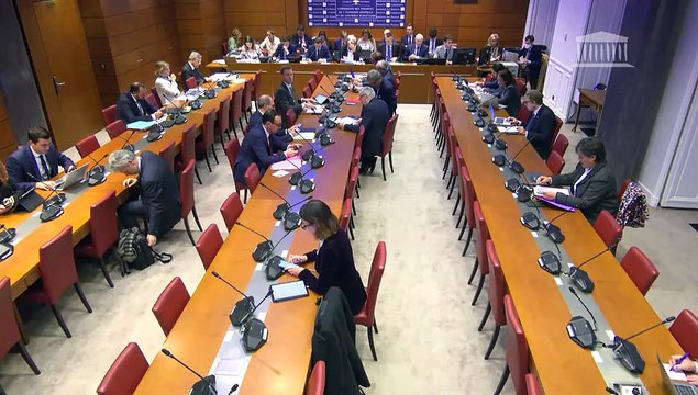 Commission des finances : M. Laurent Saint-Martin, ministre auprès du Premier ministre chargé du Budget et des comptes publics, sur le projet de loi de finances de fin de gestion - Jeudi 7 novembre 2024