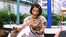 C'est La Vie Mon Cheri - 新不了情 (1993) Hong Kong Full Movie