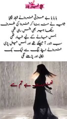 شاہ زین کا سوچتے ہوئے ہیر کی آنکھوں  میں آنسوں آئے ہیر رونا نہیں پلیز فروانے جلدی  سے اس کے آنسوں صاف کیے#poetries #Urdupoetry #poetrylover #watch #viral #dailymotion