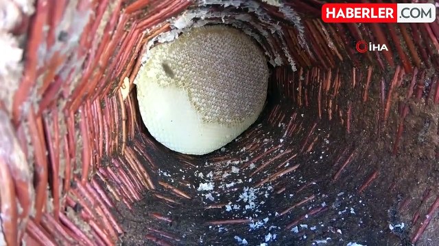 Bitlis Karakovan Balı, Uluslararası Arenada Üç Kez 'Altın Bal' Ödülü Aldı