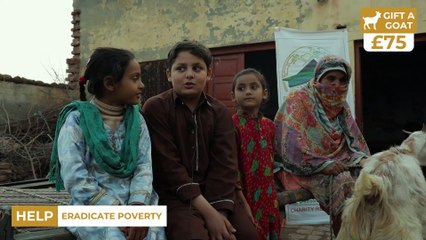 A Simple Gift of a Goat Could Enable a Family to Come Out of Poverty